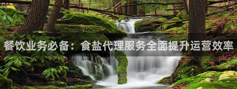威九国际的金融服务有哪些