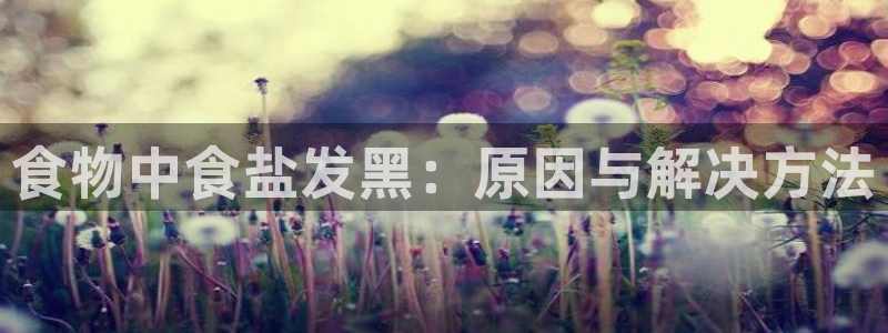 威九国际清砖码头在哪