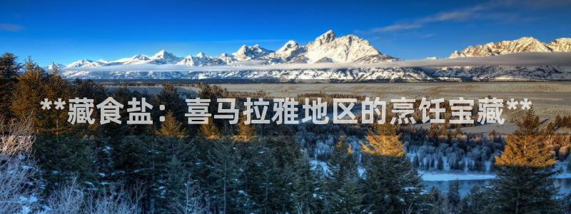 威九国际78m域名