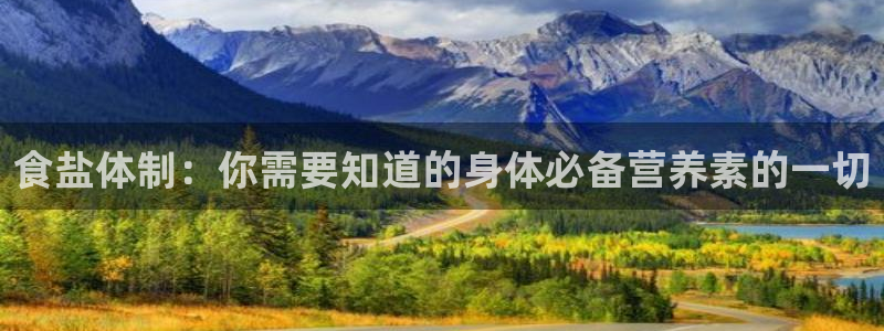 威九国际狂飚电影