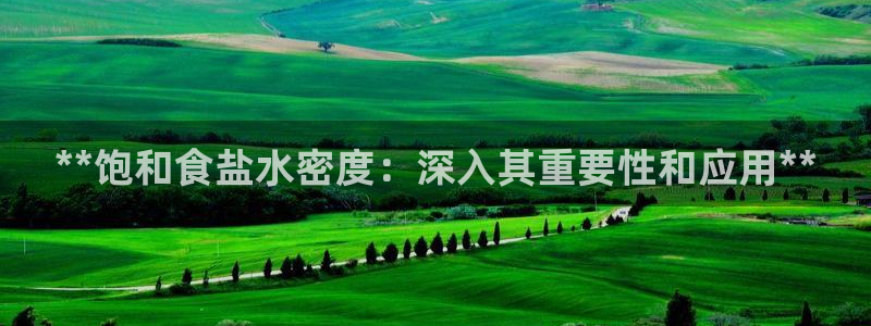 威九国际免费ppt网址