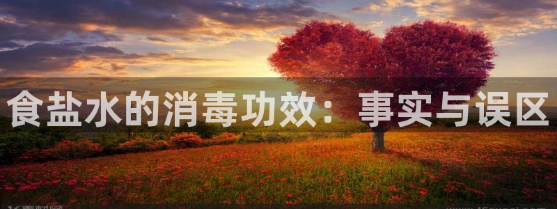 威九国际FT