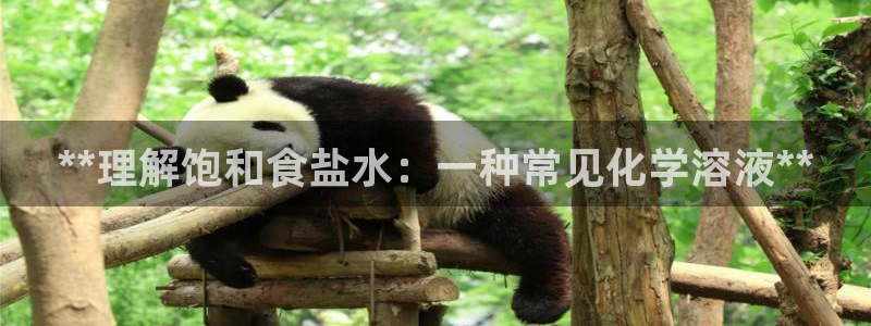 保定威九网络科技有限公司怎么样