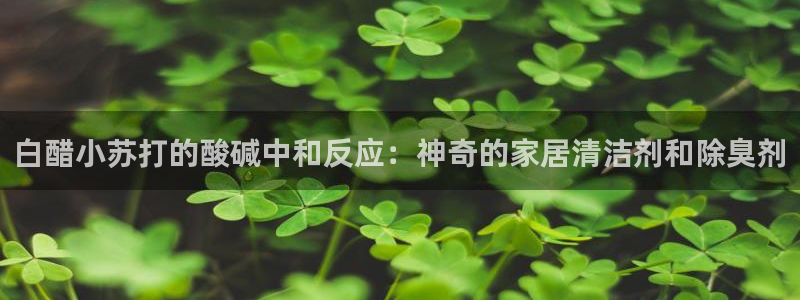 威九国际网站客服电话多少号