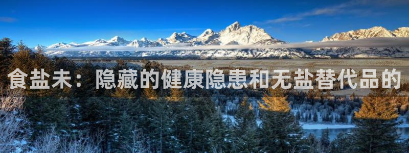 威九国际精选