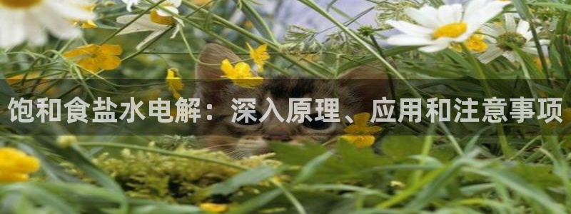 威九国际可以退钱吗怎么退的