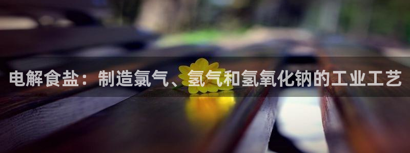 威九国际旗下艺人都有谁