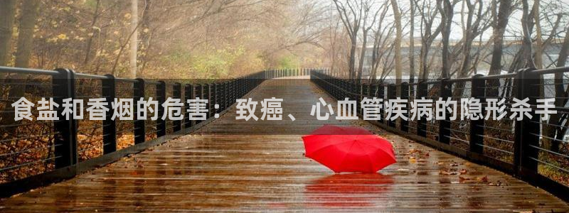 威九国际清砖码头在哪