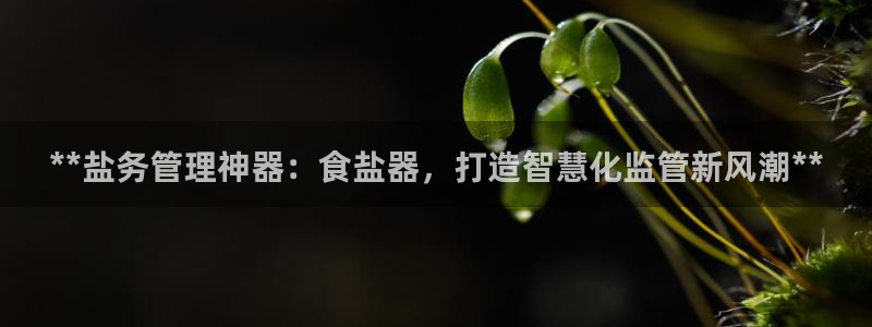 威九国际78mb游戏