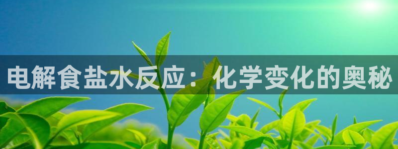 威九国际取款不会被骗吧
