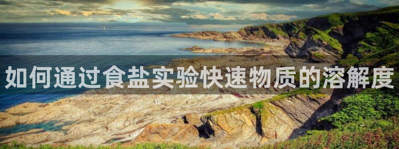 保定威九网络科技有限公司
