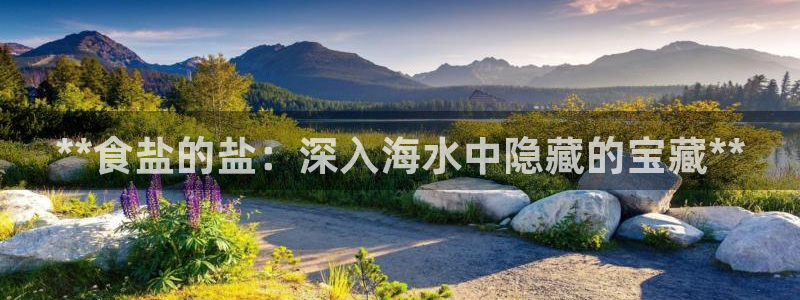 威九国际app无法登陆怎么回事