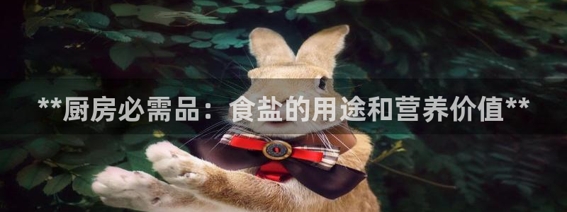 威九国际的金融服务有哪些