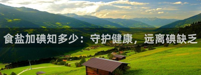 威九国际网站是多少