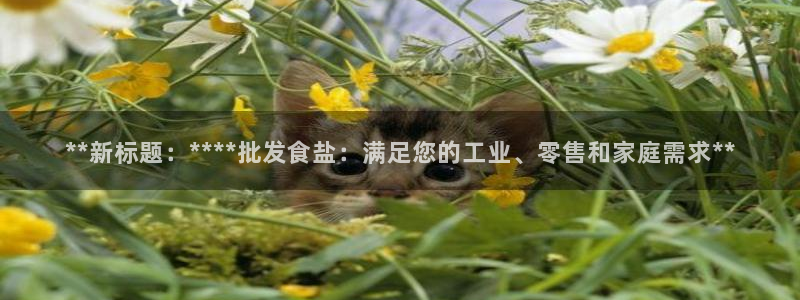 威九国际的演员