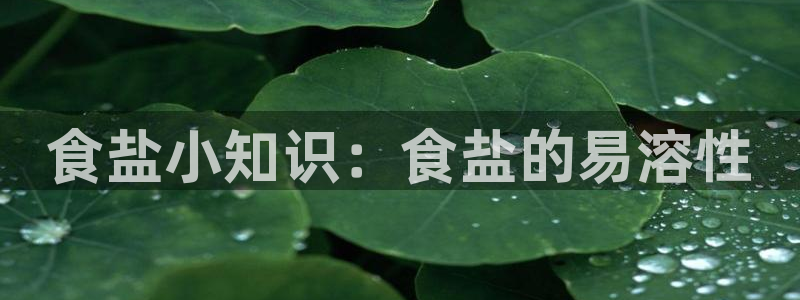 威九国际网站人入口