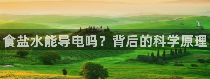 威九国际清砖码头怎么样