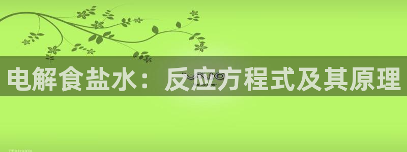 威九国际66m66