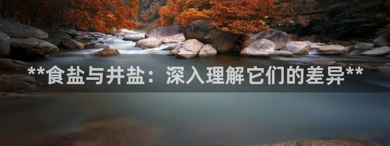 威九国际fX8x