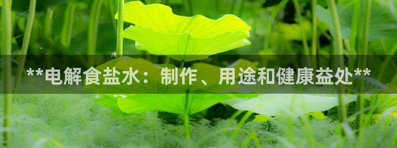 威九国际网站链接