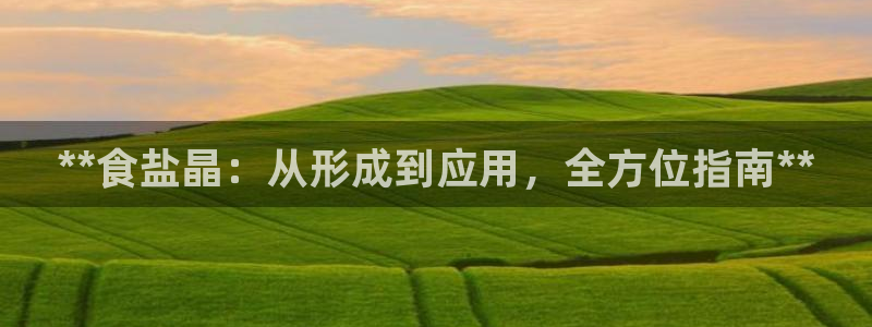 威九国际app