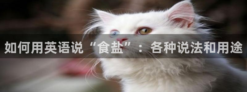 威九国际可以退钱吗怎么退