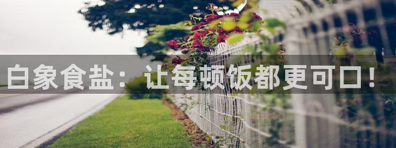 威九国际AN