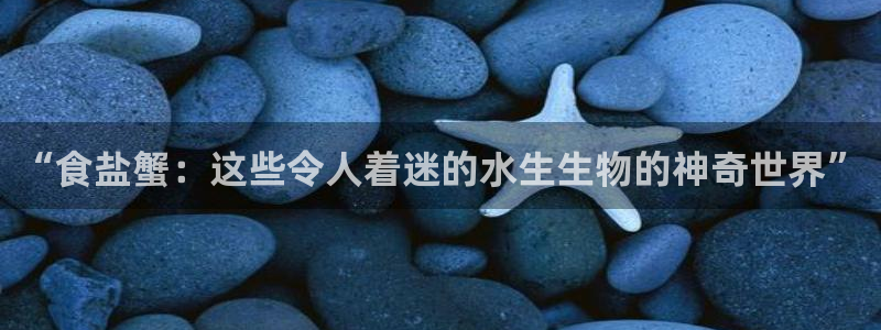 威九国际游戏app网址