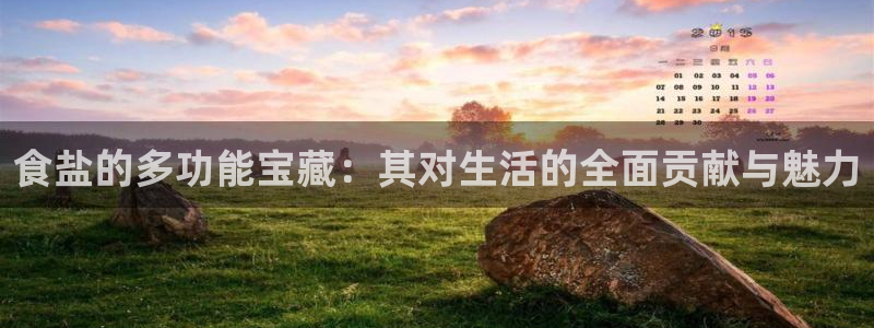 威九国际H
