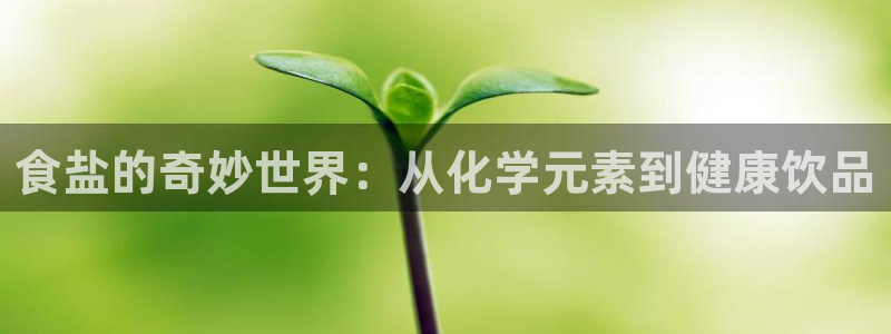 威九国际v96242cc官网版