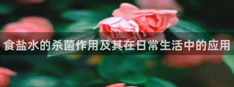 威九国际清砖码头怎么样