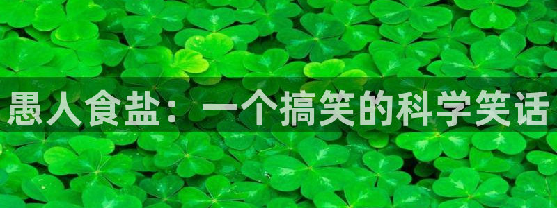 威九国际清砖码