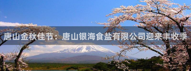 威九国际精选酒店电话