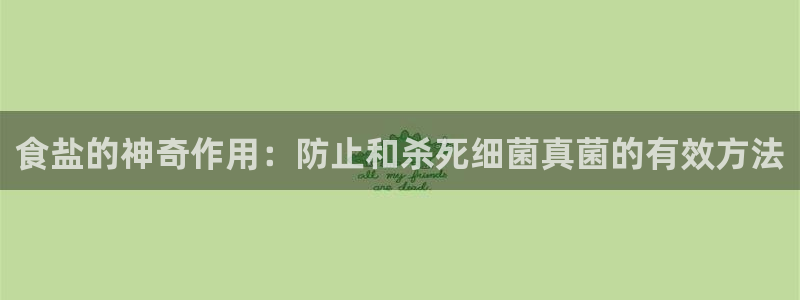威九国际H