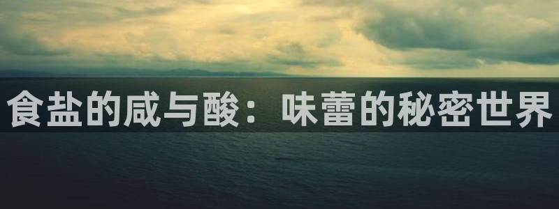 威九国际空降服务女演员名字