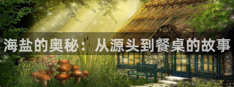 威九国际网站入口官网首页