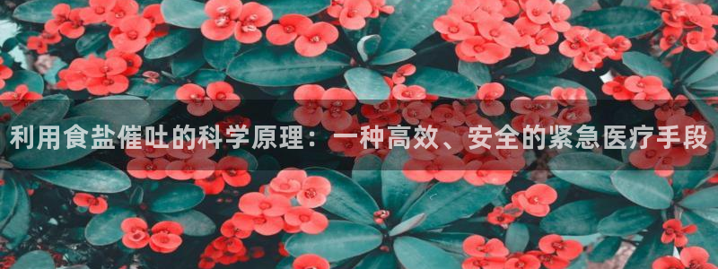 威九国际可以提现吗是真的吗