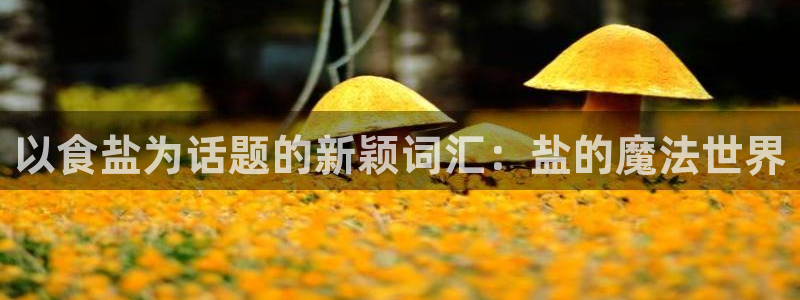 威九国际旗下艺人有谁