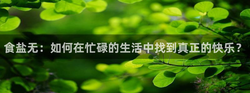 威九国际66在线