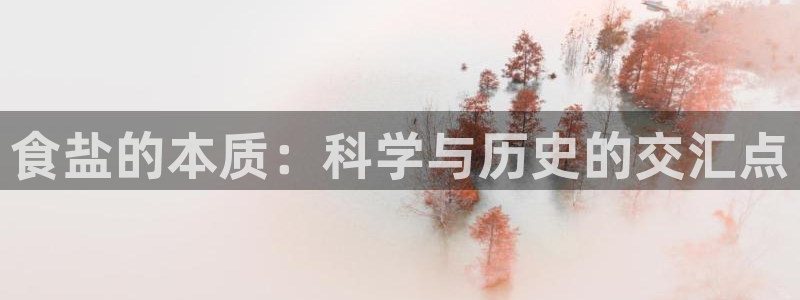 威九国际78mb特点
