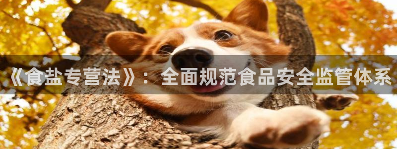 威九国际网站为什么不禁止
