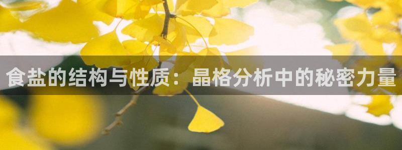 威九国际66m66成长模式