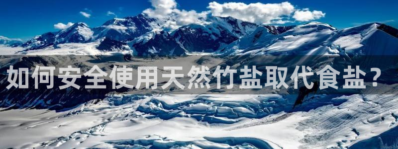 威九国际ppt免费下载