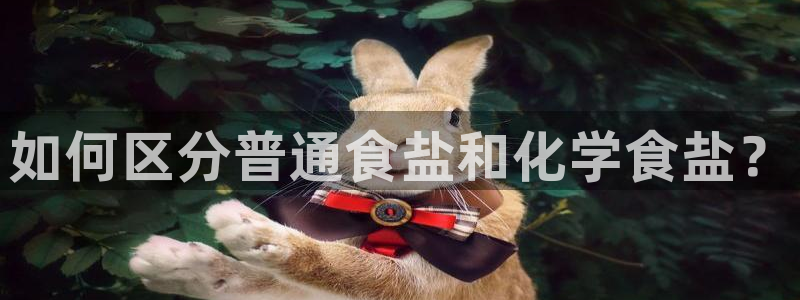 威九国际替好友去