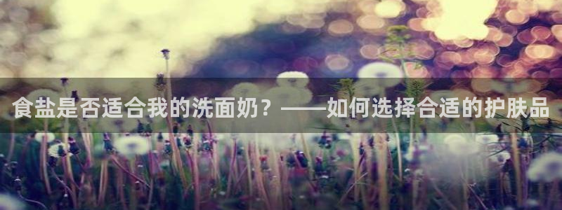 威九国际ppt免费