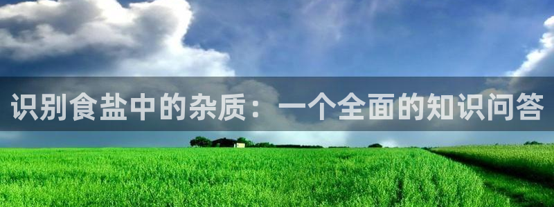 威九国际78m小说
