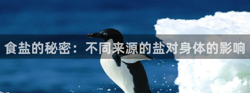 威九国际app客服电话号码