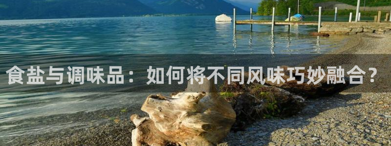 威九国际的金融服务：食盐与调味品：如何将不同风味巧妙融合？