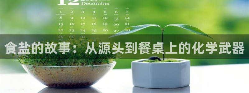威九国际app下载