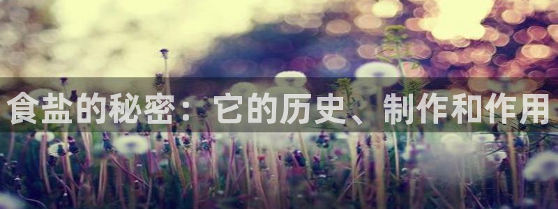 威九国际下载官网app